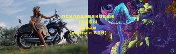COCAINE Богданович