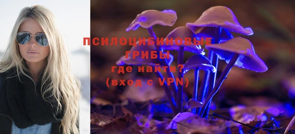 мет Богородицк