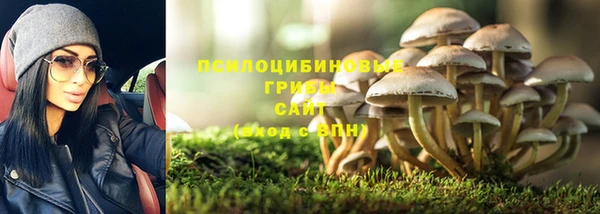 COCAINE Богданович