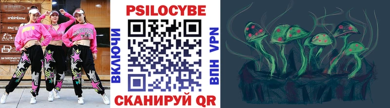 Псилоцибиновые грибы Psilocybe Златоуст